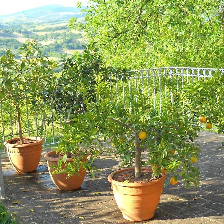 B&B Alce San Severino Marche Ngoại thất bức ảnh